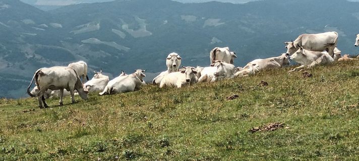 Foto von Gabriele Cucchi entlang der Tour