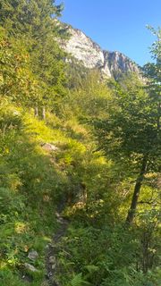 Foto von EleGams entlang der Tour