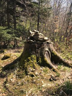 Zdjęcie z Kellner Heidi wzdłuż trasy