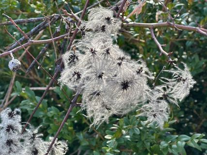 Foto de Norbert Herbig a lo largo del recorrido