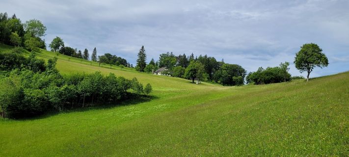 Fotografija s spletne strani Nicky na poti