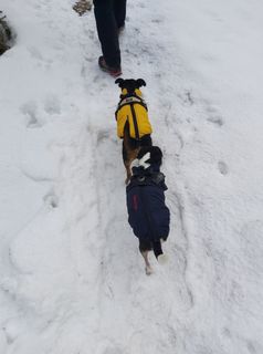 Foto von Antonietta Havasi entlang der Tour
