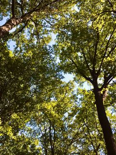 Fotografia z Kellner Heidi na trase