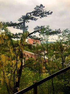 Photo de Kellner Heidi le long du parcours