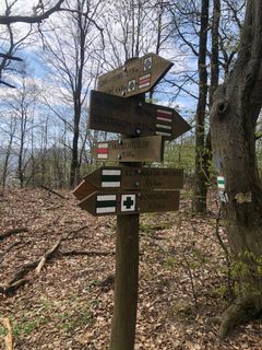 Zdjęcie z Gergő Pavlik wzdłuż trasy