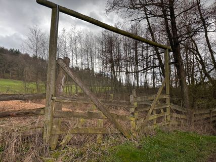 Foto de Norbert Herbig a lo largo del recorrido