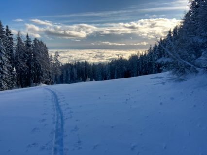 Foto von Klaus Grambichler entlang der Tour