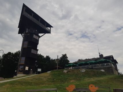 Foto de mmecki a lo largo del recorrido
