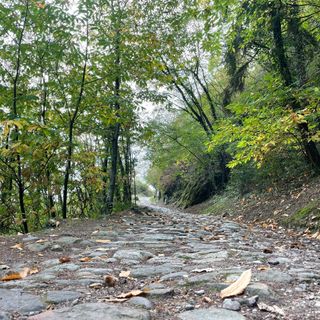 Photo de Norbert Herbig le long du parcours
