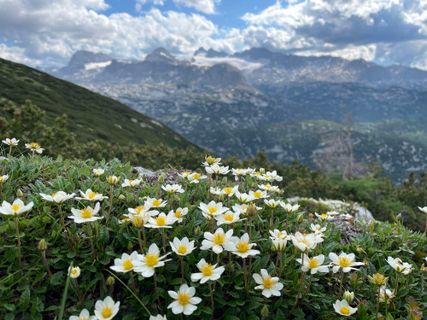 Foto von Michael Bauer entlang der Tour