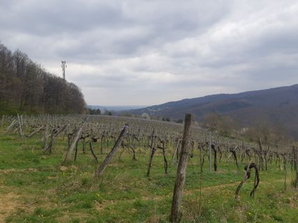 Foto von mmecki entlang der Tour