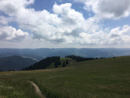 Fotografia z Ralf Umminger na trase