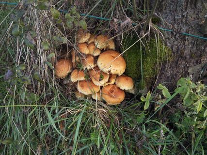 Zdjęcie z Ugo Rocca wzdłuż trasy