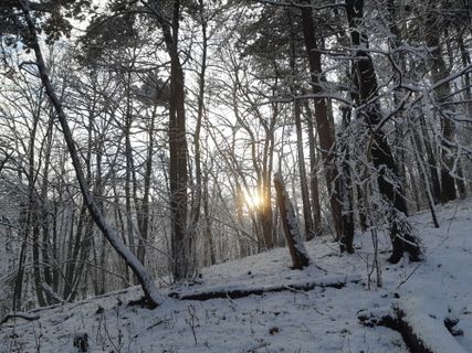 Fotografija s spletne strani mmecki na poti