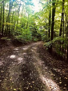 Fotografija s spletne strani Kellner Heidi na poti