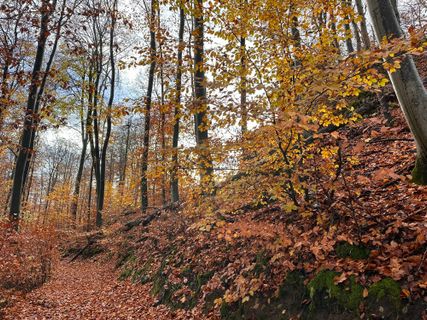 Foto de Norbert Herbig a lo largo del recorrido