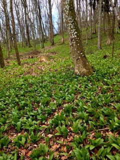 Foto von Kellner Heidi entlang der Tour