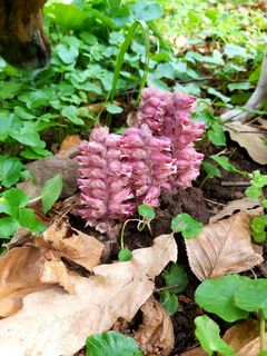 Fotografia z Antonietta Havasi na trase