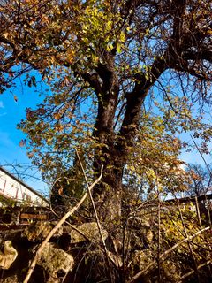 Foto von Kellner Heidi entlang der Tour
