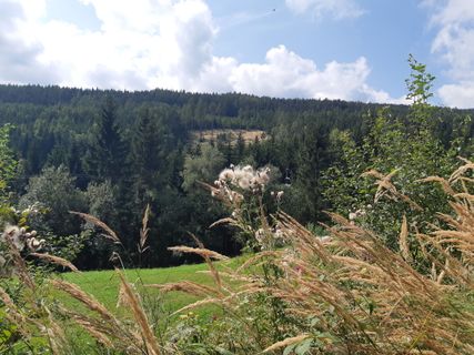 Fotografija s spletne strani mmecki na poti