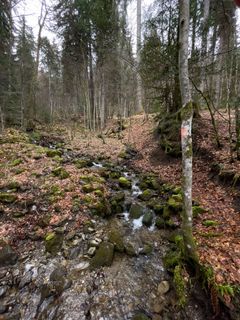 Foto von GabrielSR76 entlang der Tour