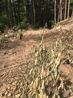 Fotografie z Kellner Heidi na trase