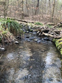 Foto von Gergő Pavlik entlang der Tour