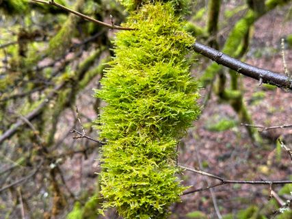 Photo de Norbert Herbig le long du parcours