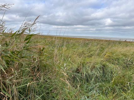 Foto de Norbert Herbig a lo largo del recorrido