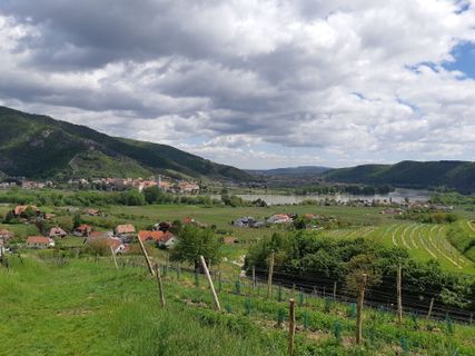 Photo de mmecki le long du parcours