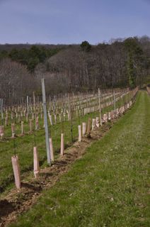 Foto de Kellner Heidi a lo largo del recorrido