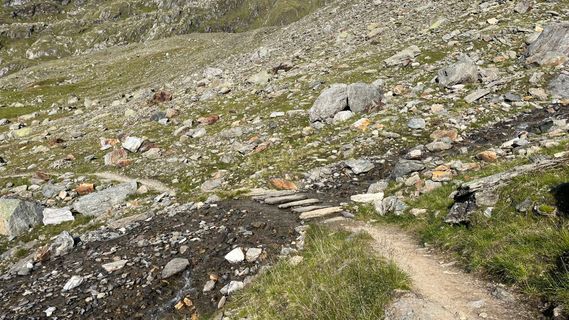 Photo de Katja Hechler le long du parcours