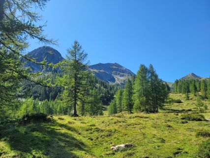 Photo de mmecki le long du parcours