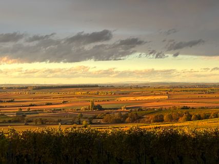 Foto van Norbert Herbig langs de tour