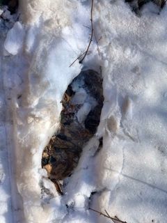 Foto de Kellner Heidi a lo largo del recorrido