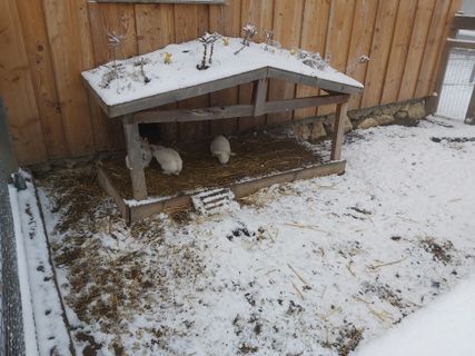 Foto von Antonietta Havasi entlang der Tour