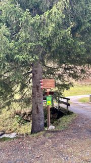 Foto von Katja Hechler entlang der Tour