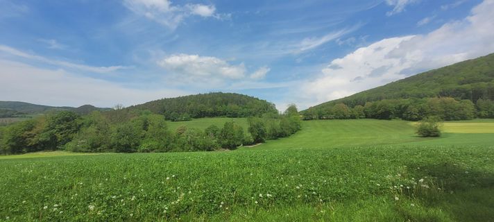 Foto von Nicky entlang der Tour