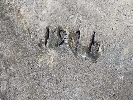 Fotografie z Fabio Infanti na trase