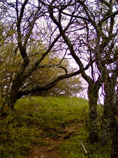 Zdjęcie z Kellner Heidi wzdłuż trasy