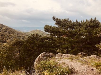 Foto von Kellner Heidi entlang der Tour