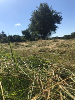 Foto von Kellner Heidi entlang der Tour