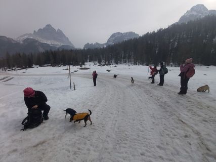 Photo de Antonietta Havasi le long du parcours