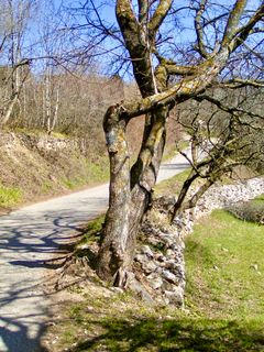 Fotografie z Kellner Heidi na trase