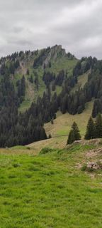 Photo de Thomas Klein le long du parcours