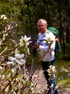 Fotografija s spletne strani Kellner Heidi na poti