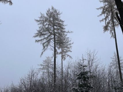 Foto von Norbert Herbig entlang der Tour