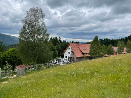 Foto von Ralf Umminger entlang der Tour