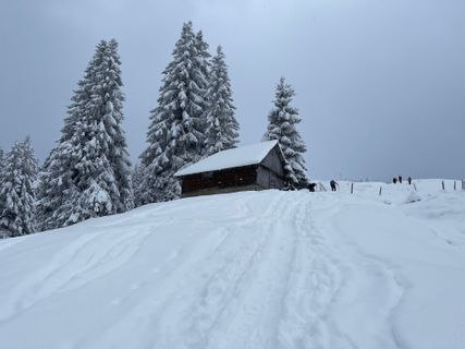 Foto von GabrielSR76 entlang der Tour