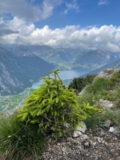 Photo de Ralf Umminger le long du parcours